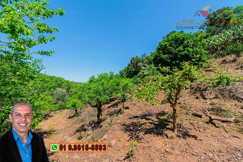 Sítio de 11.7 hectares à VENDA Igrejinha - RS: 61ª foto da galeria de imagens do imóvel