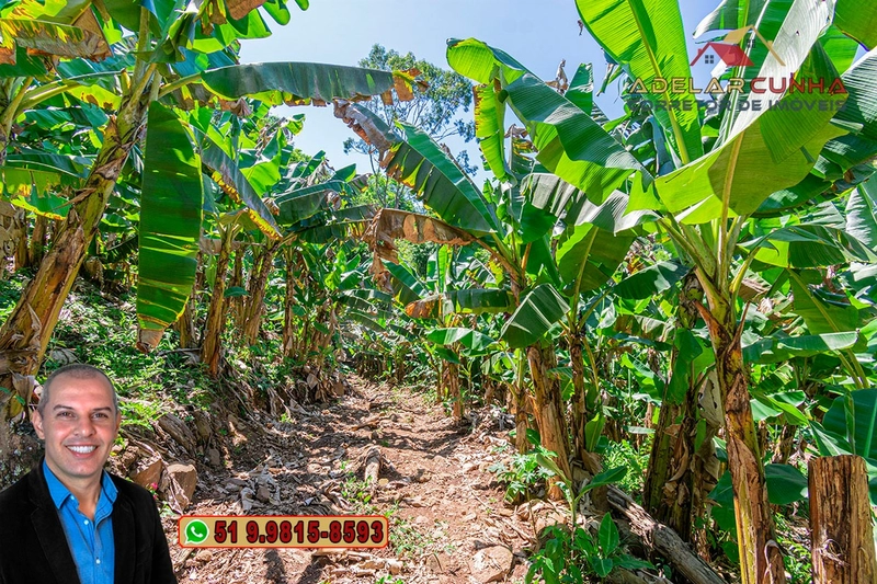 Sítio de 11.7 hectares à VENDA Igrejinha - RS: 73ª foto da galeria de imagens do imóvel