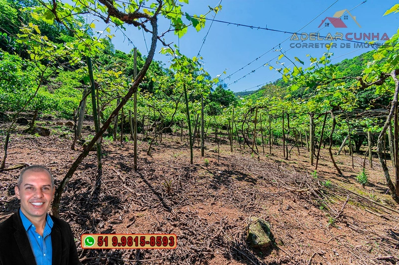 Sítio de 11.7 hectares à VENDA Igrejinha - RS: 65ª foto da galeria de imagens do imóvel