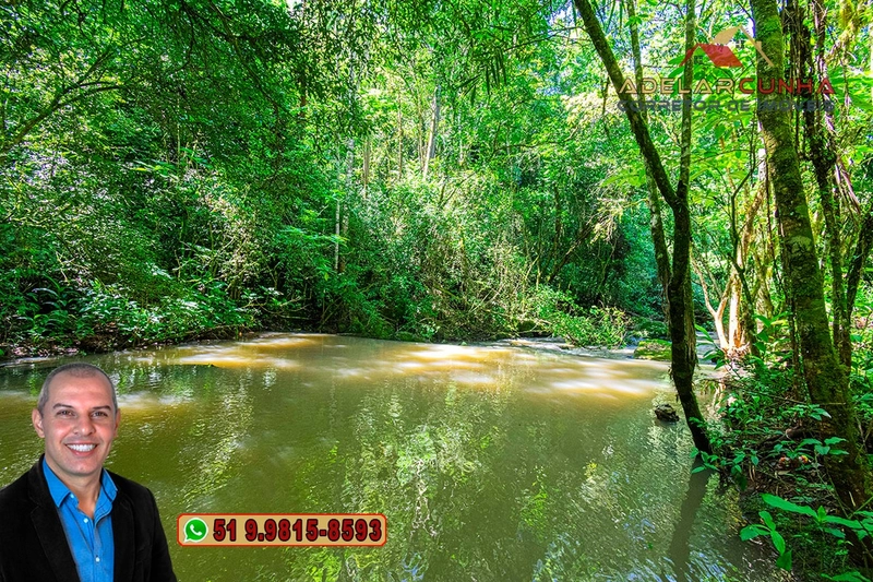 Sítio de 11.7 hectares à VENDA Igrejinha - RS: 5ª foto da galeria de imagens do imóvel