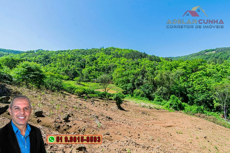 Sítio de 11.7 hectares à VENDA Igrejinha - RS: 58ª foto da galeria de imagens do imóvel