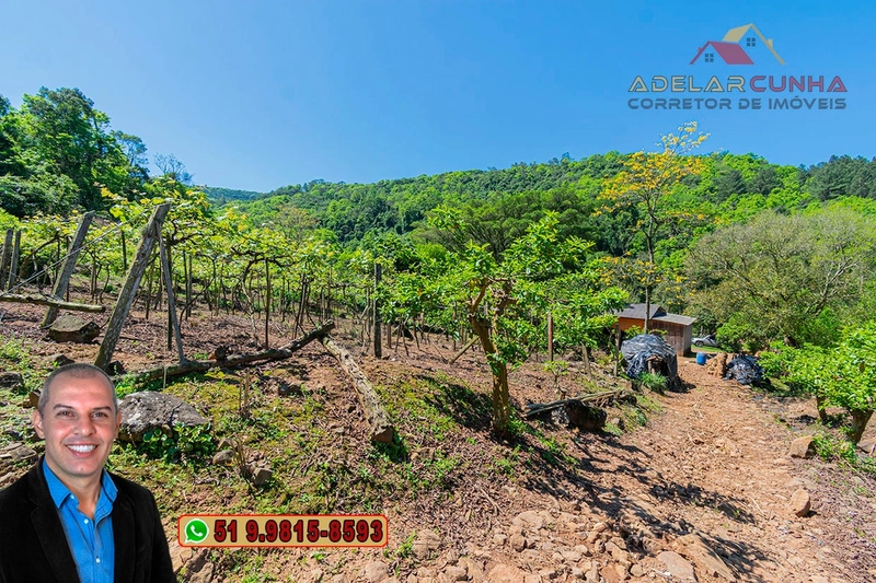 Sítio de 11.7 hectares à VENDA Igrejinha - RS: 64ª foto da galeria de imagens do imóvel