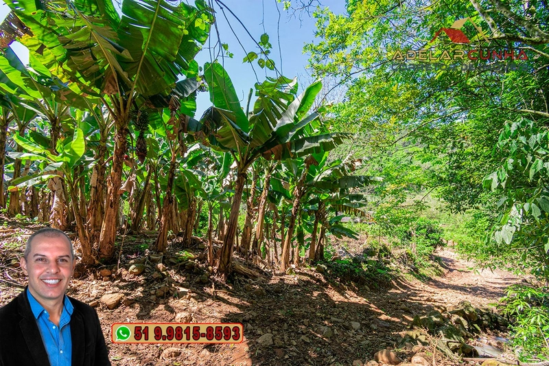 Sítio de 11.7 hectares à VENDA Igrejinha - RS: 69ª foto da galeria de imagens do imóvel