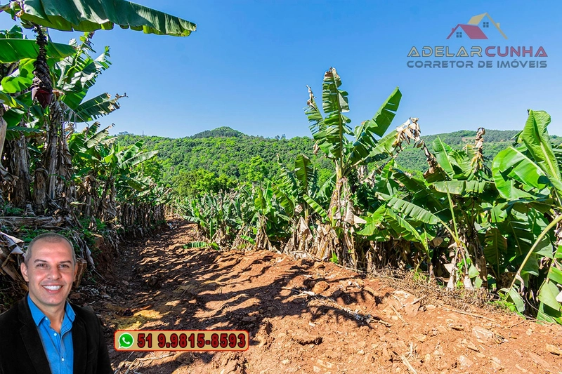 Sítio de 11.7 hectares à VENDA Igrejinha - RS: 80ª foto da galeria de imagens do imóvel