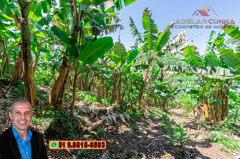 Sítio de 11.7 hectares à VENDA Igrejinha - RS: 72ª foto da galeria de imagens do imóvel