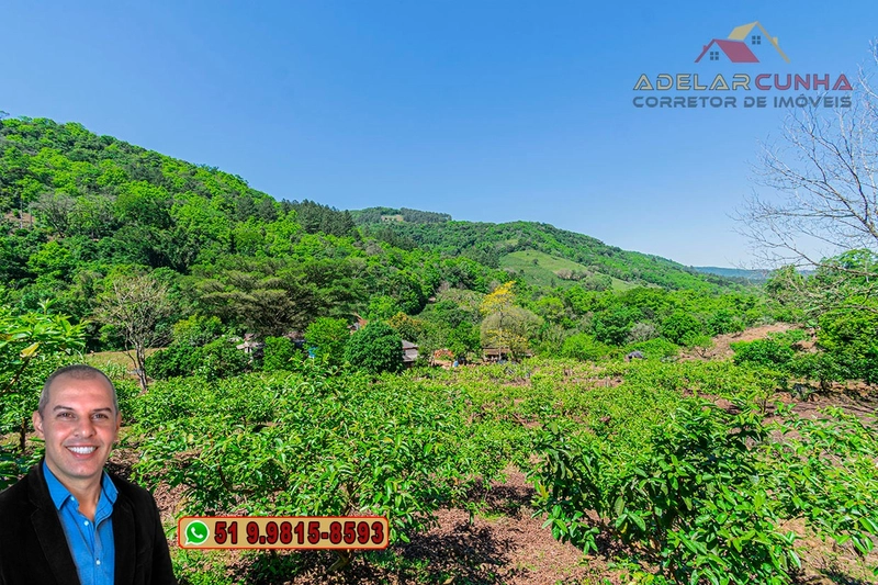 Sítio de 11.7 hectares à VENDA Igrejinha - RS: 67ª foto da galeria de imagens do imóvel