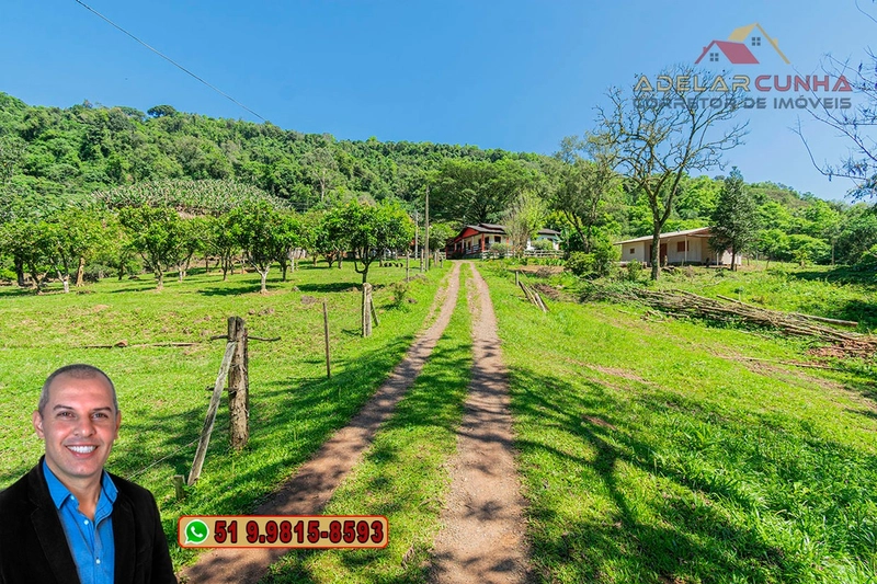 Sítio de 11.7 hectares à VENDA Igrejinha - RS: 11ª foto da galeria de imagens do imóvel