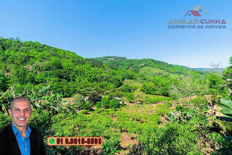Sítio de 11.7 hectares à VENDA Igrejinha - RS: 74ª foto da galeria de imagens do imóvel
