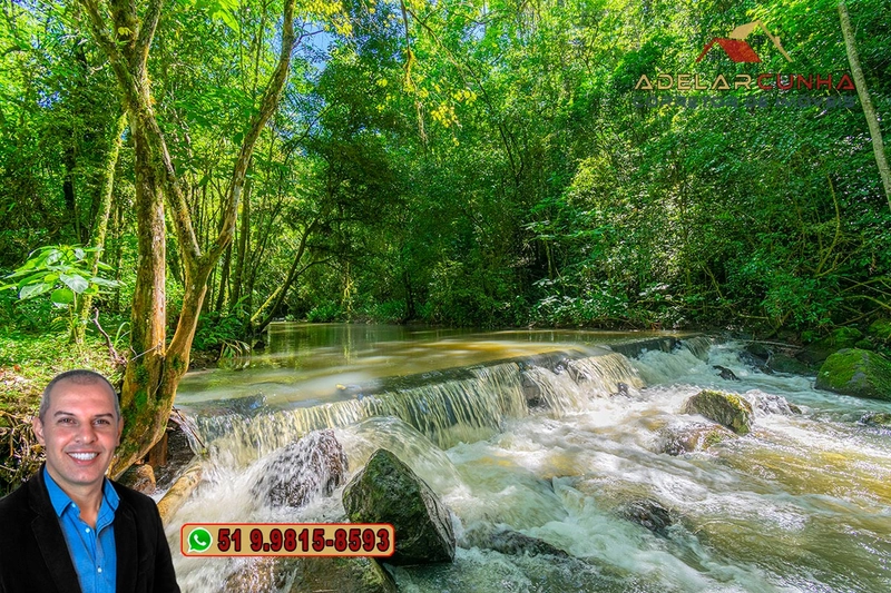 Sítio de 11.7 hectares à VENDA Igrejinha - RS: 6ª foto da galeria de imagens do imóvel