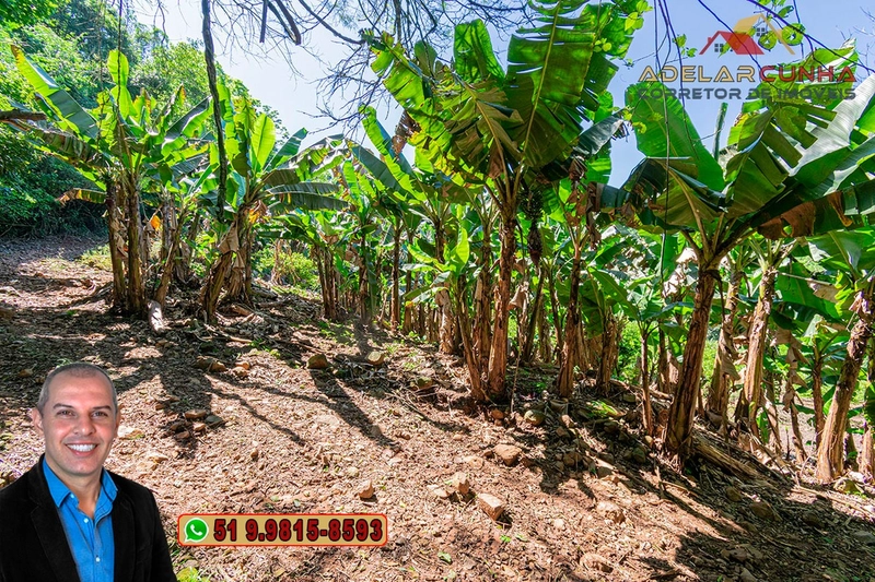Sítio de 11.7 hectares à VENDA Igrejinha - RS: 70ª foto da galeria de imagens do imóvel