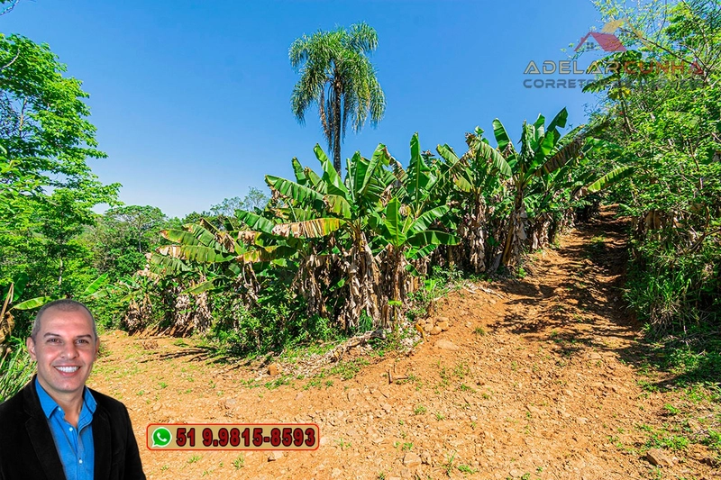 Sítio de 11.7 hectares à VENDA Igrejinha - RS: 76ª foto da galeria de imagens do imóvel