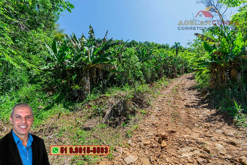 Sítio de 11.7 hectares à VENDA Igrejinha - RS: 75ª foto da galeria de imagens do imóvel