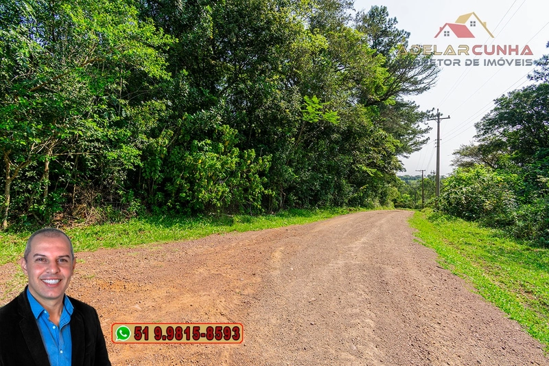 Sítio de 3 hectares à VENDA em Taquara - RS: 1ª foto da galeria de imagens do imóvel