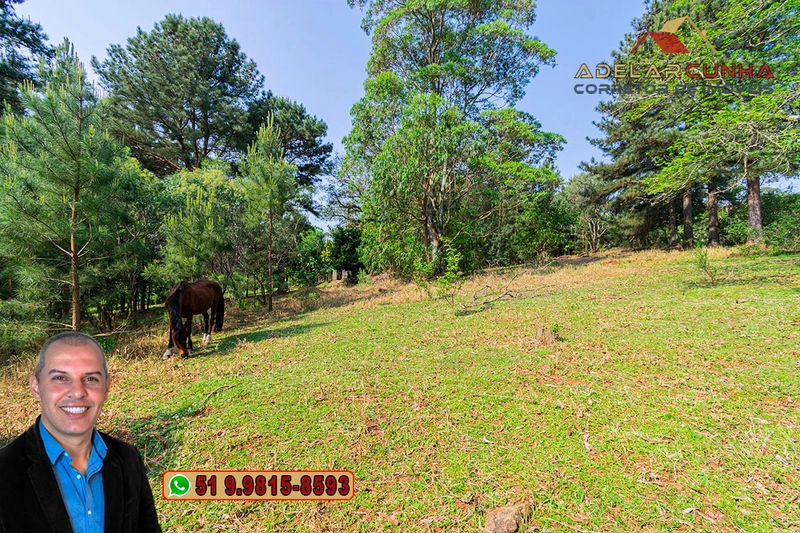 Sítio de 3 hectares à VENDA em Taquara - RS: 44ª foto da galeria de imagens do imóvel