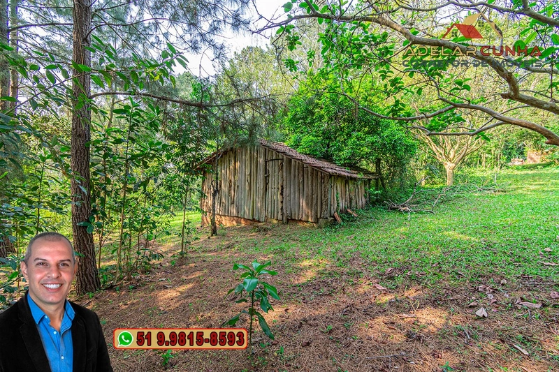 Sítio de 3 hectares à VENDA em Taquara - RS: 50ª foto da galeria de imagens do imóvel