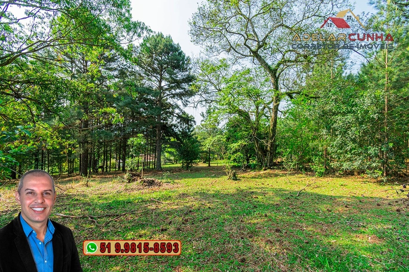 Sítio de 3 hectares à VENDA em Taquara - RS: 45ª foto da galeria de imagens do imóvel