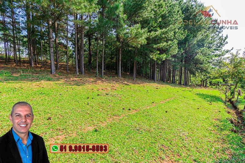 Sítio de 3 hectares à VENDA em Taquara - RS: 57ª foto da galeria de imagens do imóvel