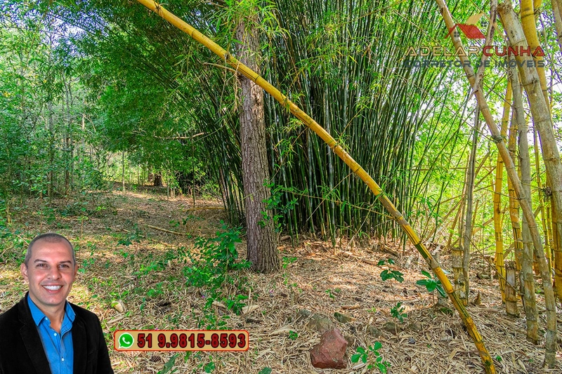 Sítio de 3 hectares à VENDA em Taquara - RS: 56ª foto da galeria de imagens do imóvel