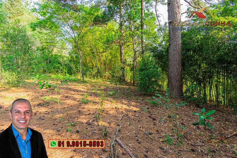 Sítio de 3 hectares à VENDA em Taquara - RS: 55ª foto da galeria de imagens do imóvel