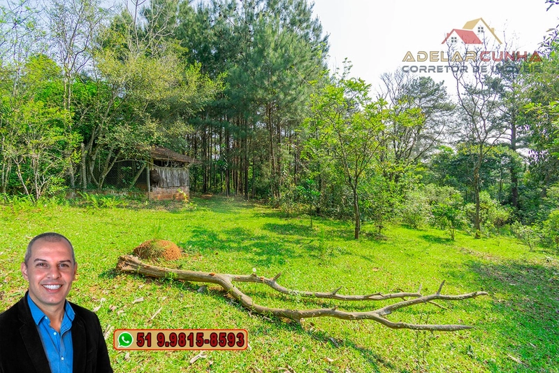Sítio de 3 hectares à VENDA em Taquara - RS: 49ª foto da galeria de imagens do imóvel