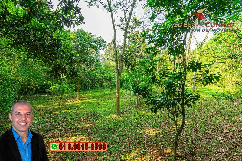 Sítio de 3 hectares à VENDA em Taquara - RS: 51ª foto da galeria de imagens do imóvel
