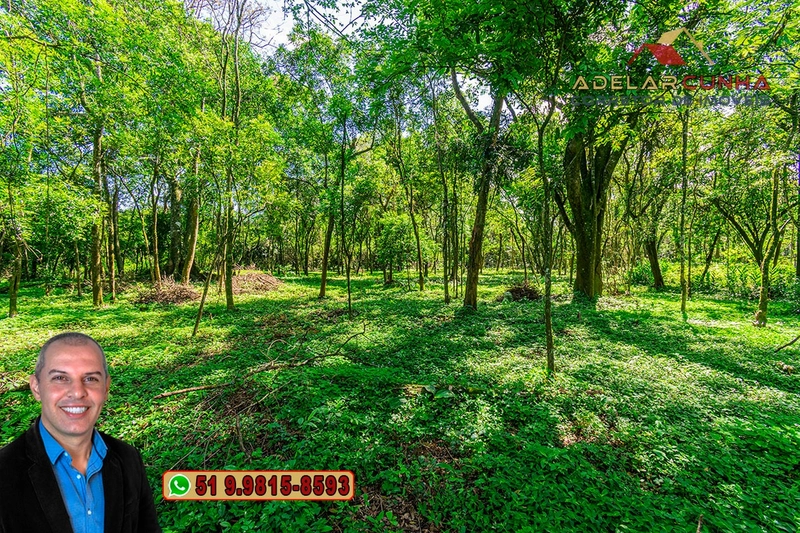 Terreno Comercial de 2.1 hectares à VENDA na RS 115 em Igrejinha - RS: 30ª foto da galeria de imagens do imóvel