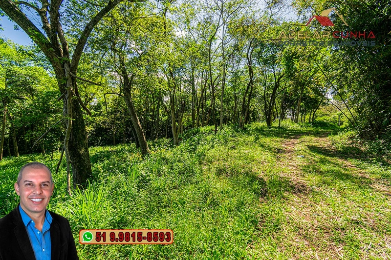 Terreno Comercial de 2.1 hectares à VENDA na RS 115 em Igrejinha - RS: 8ª foto da galeria de imagens do imóvel