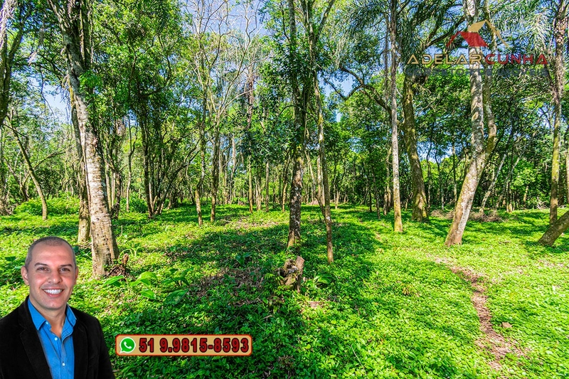 Terreno Comercial de 2.1 hectares à VENDA na RS 115 em Igrejinha - RS: 23ª foto da galeria de imagens do imóvel