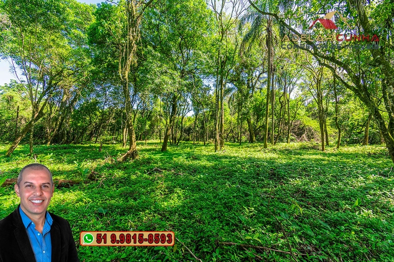 Terreno Comercial de 2.1 hectares à VENDA na RS 115 em Igrejinha - RS: 31ª foto da galeria de imagens do imóvel