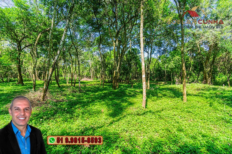 Terreno Comercial de 2.1 hectares à VENDA na RS 115 em Igrejinha - RS: 24ª foto da galeria de imagens do imóvel