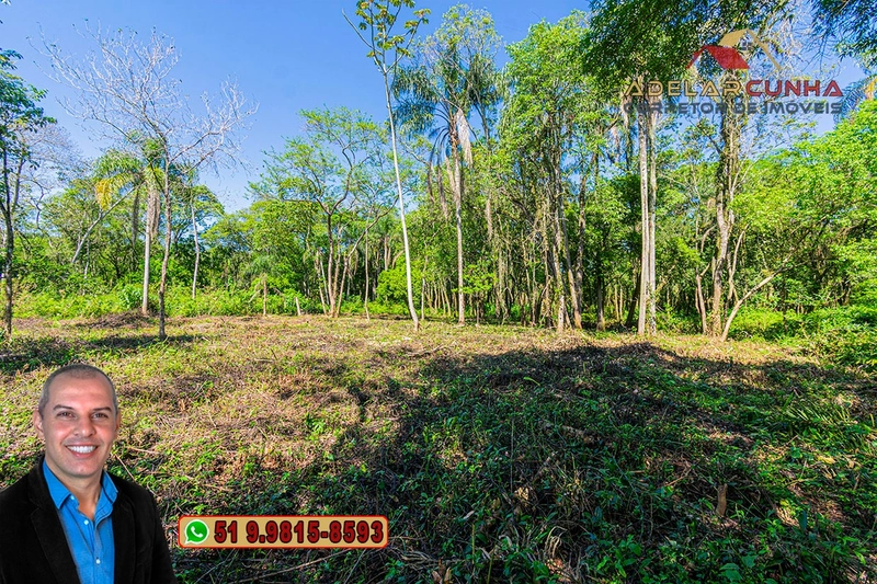 Terreno Comercial de 2.1 hectares à VENDA na RS 115 em Igrejinha - RS: 20ª foto da galeria de imagens do imóvel