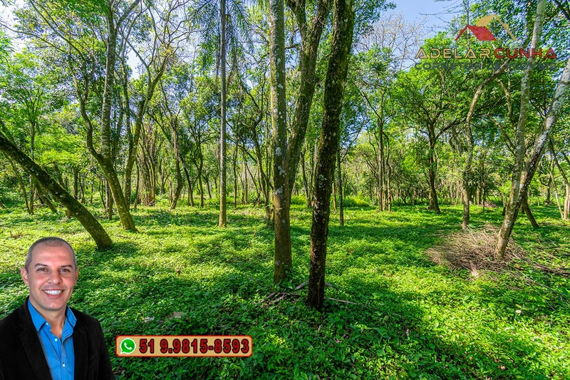 Terreno Comercial de 2.1 hectares à VENDA na RS 115 em Igrejinha - RS: 25ª foto da galeria de imagens do imóvel