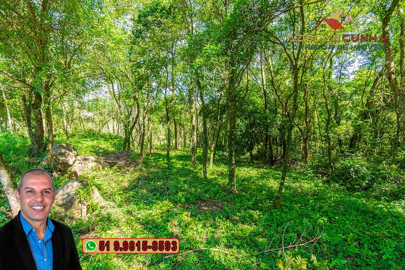 Terreno Comercial de 2.1 hectares à VENDA na RS 115 em Igrejinha - RS: 6ª foto da galeria de imagens do imóvel