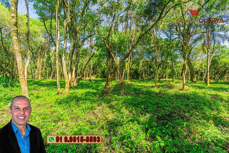 Terreno Comercial de 2.1 hectares à VENDA na RS 115 em Igrejinha - RS: 29ª foto da galeria de imagens do imóvel