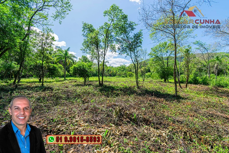 Terreno Comercial de 2.1 hectares à VENDA na RS 115 em Igrejinha - RS: 19ª foto da galeria de imagens do imóvel