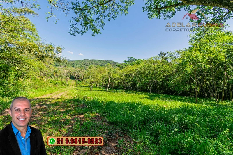 Terreno Comercial de 2.1 hectares à VENDA na RS 115 em Igrejinha - RS: 9ª foto da galeria de imagens do imóvel