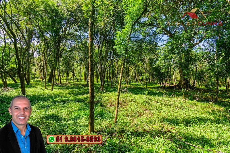Terreno Comercial de 2.1 hectares à VENDA na RS 115 em Igrejinha - RS: 26ª foto da galeria de imagens do imóvel