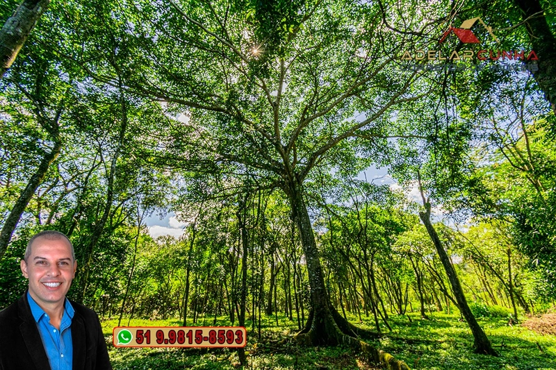 Terreno Comercial de 2.1 hectares à VENDA na RS 115 em Igrejinha - RS: 28ª foto da galeria de imagens do imóvel