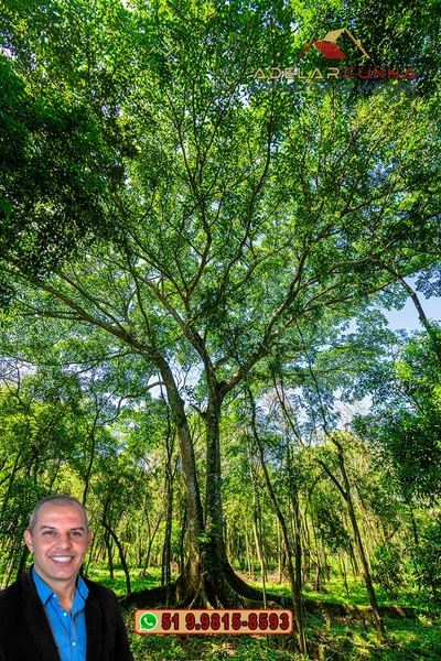 Terreno Comercial de 2.1 hectares à VENDA na RS 115 em Igrejinha - RS: 27ª foto da galeria de imagens do imóvel