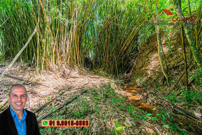 Chácara com 4.1 hectares à VENDA em Taquara - RS: 48ª foto da galeria de imagens do imóvel