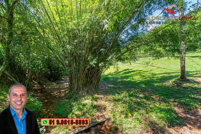 Chácara com 4.1 hectares à VENDA em Taquara - RS: 47ª foto da galeria de imagens do imóvel