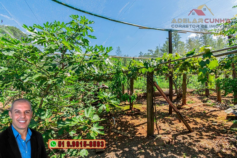 Chácara de 4.000m² à VENDA em Igrejinha - RS: 17ª foto da galeria de imagens do imóvel
