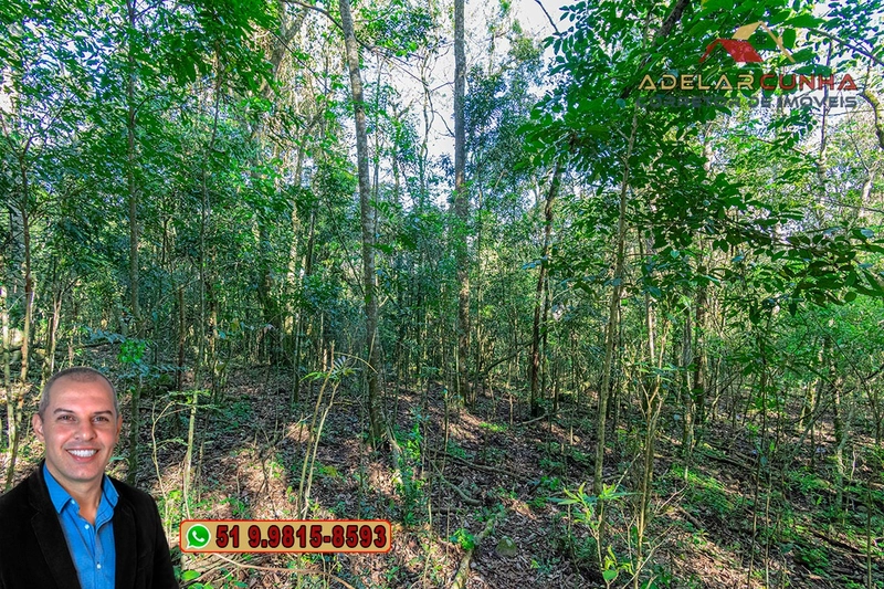 Sítio de 5 hectares à VENDA Igrejinha - RS.: 18ª foto da galeria de imagens do imóvel