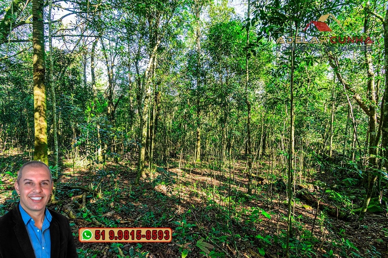 Sítio de 5 hectares à VENDA Igrejinha - RS.: 17ª foto da galeria de imagens do imóvel