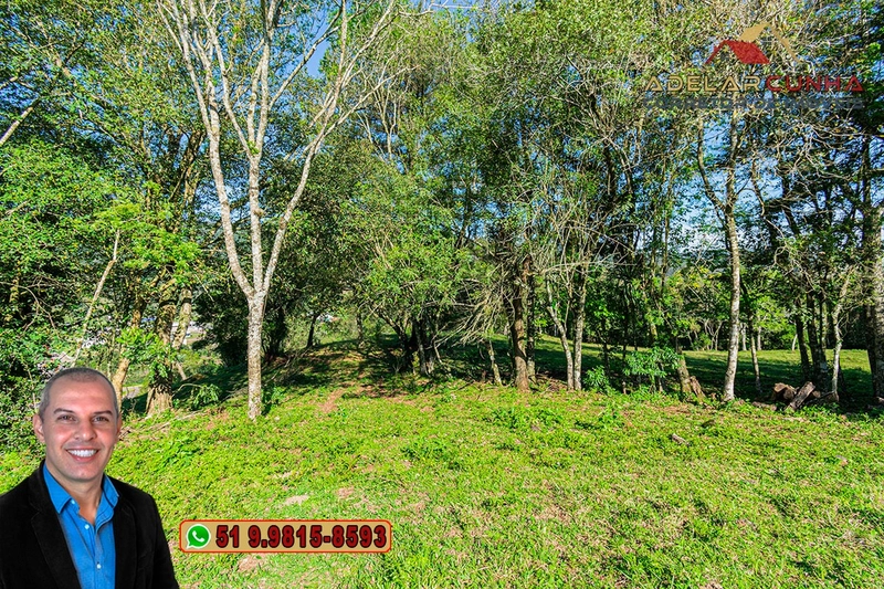 Sítio de 5 hectares à VENDA Igrejinha - RS.: 5ª foto da galeria de imagens do imóvel