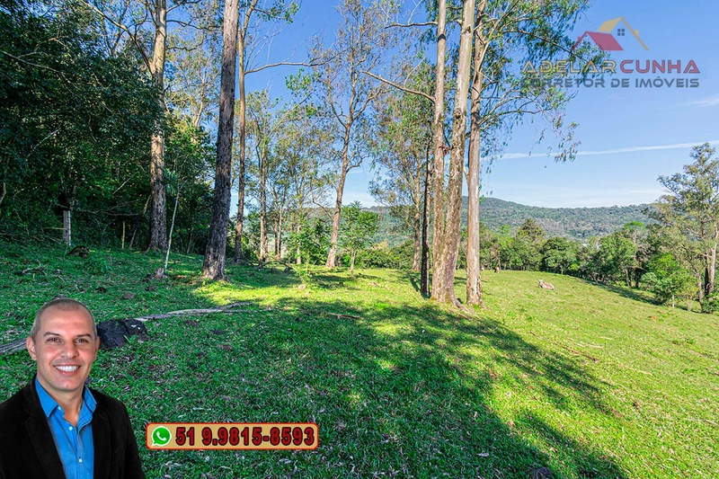 Sítio de 5 hectares à VENDA Igrejinha - RS.: 13ª foto da galeria de imagens do imóvel