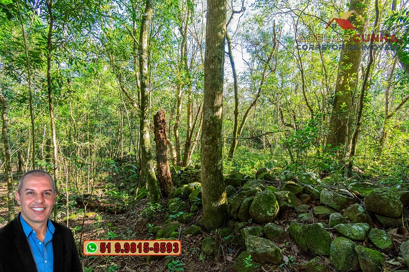 Sítio de 5 hectares à VENDA Igrejinha - RS.: 16ª foto da galeria de imagens do imóvel