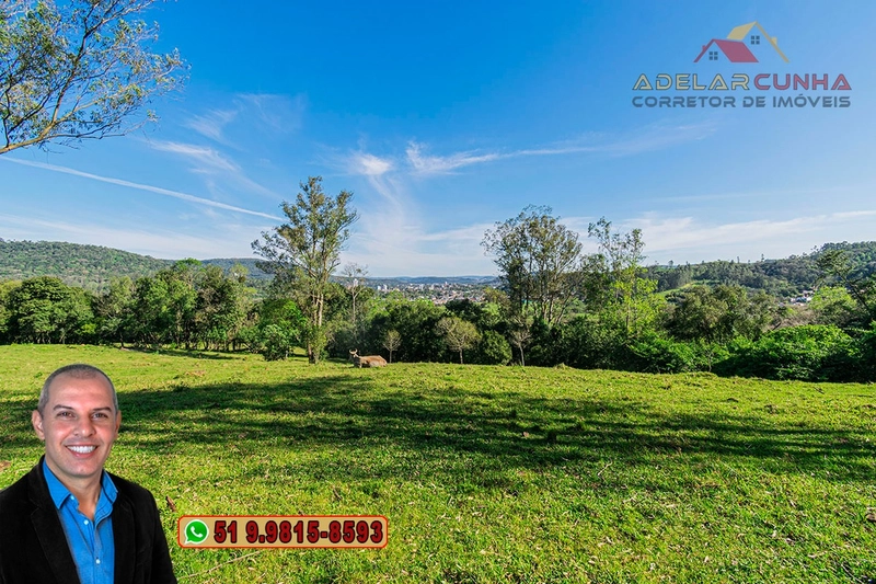 Sítio de 5 hectares à VENDA Igrejinha - RS.: 11ª foto da galeria de imagens do imóvel