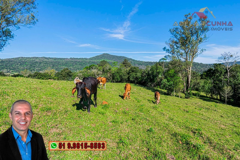 Sítio de 5 hectares à VENDA Igrejinha - RS.: 20ª foto da galeria de imagens do imóvel