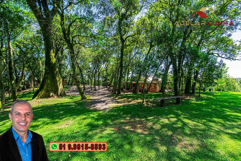 À VENDA: Sítio de 4 hectares em Serra Grande - RS: 36ª foto da galeria de imagens do imóvel